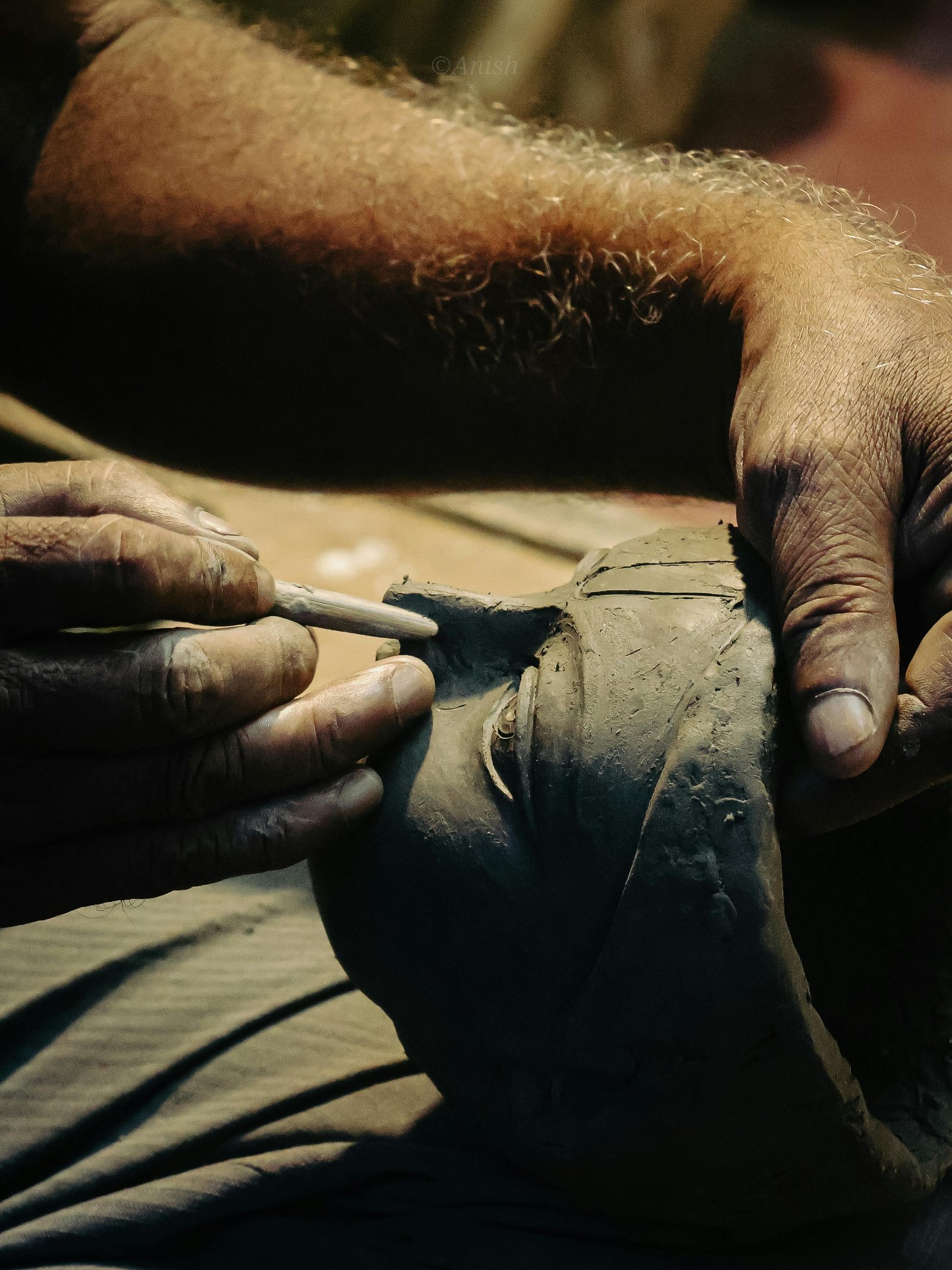 Arts et Sciences Humaines